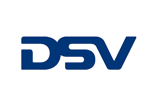 logo_dsv